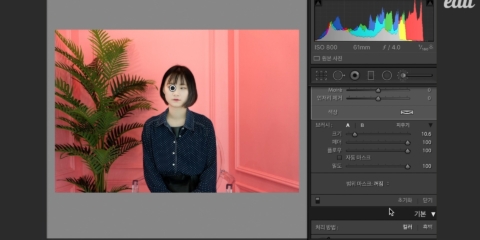 디에디트1