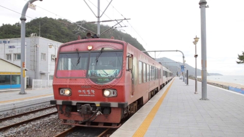 익사이팅강원도3