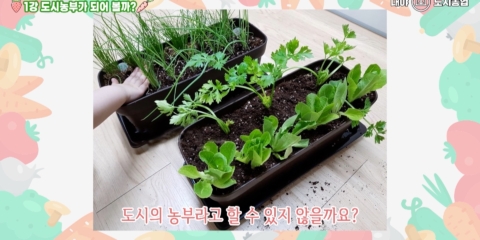 군포2021 1
