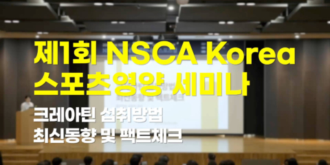 ncsa1 1