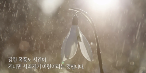 심상법2