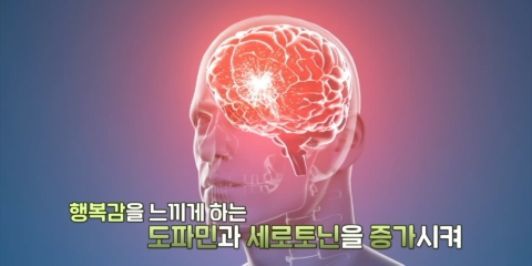 을지대1