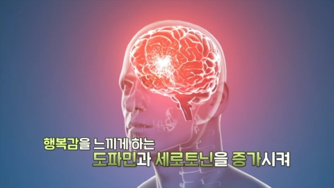 을지대학교 마약오남용 교육 영상