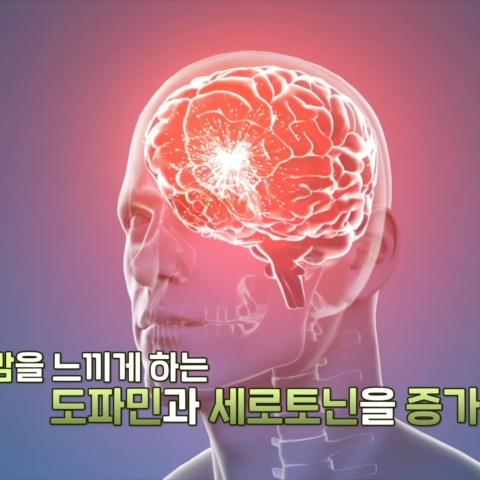 페이지 처리